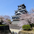 Kumamoto Castle　熊本城
