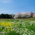 Spring in Minamiaso